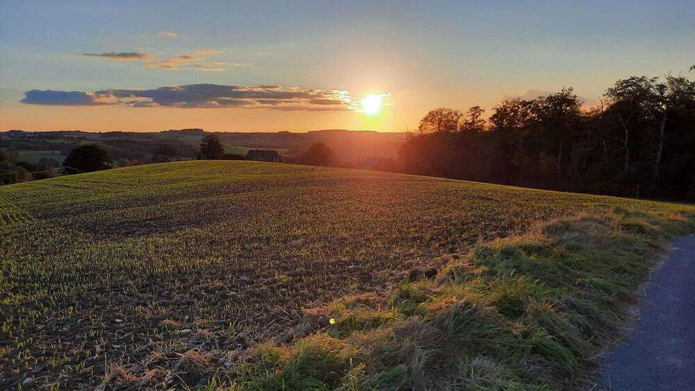 Einfamilienhaus Essen Heidhausen - 7 Zimmer, 160 m&sup2;, 880.000&euro; | Angebot:25782941