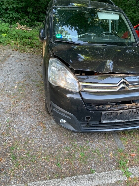 Berlingo