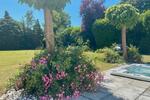 Einfamilienhaus Hünxe - 6 Zimmer, 250 m&sup2;, 1.190.000&euro; | Angebot:26537671