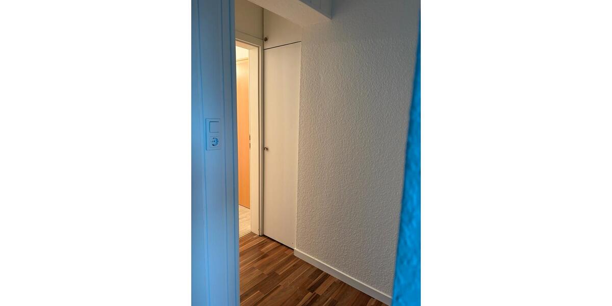 DG Wohnung renoviert- frei- bitte alles lesen❗️ 3.5 zimmer