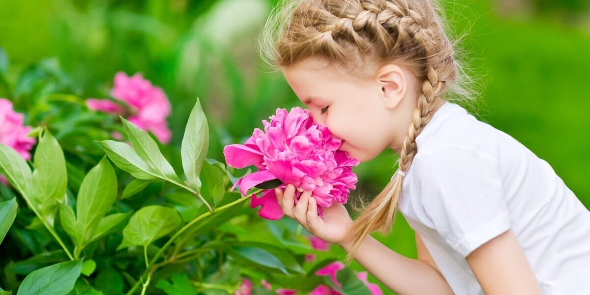 Flexibles Zweifamilienhaus - Ihr individuell geplantes Zuhause in Oberhausen - Zweifamilienhaus Oberhausen Schmachtendorf | Angebot:27306584