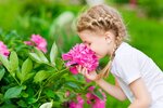 Flexibles Zweifamilienhaus - Ihr individuell geplantes Zuhause in Oberhausen - Zweifamilienhaus Oberhausen Schmachtendorf | Angebot:27306584
