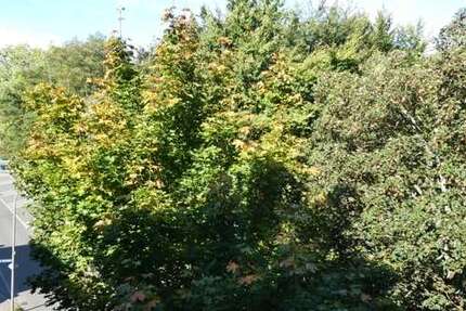 Wohnung Bochum / Grumme Grumme - 4.5 Zimmer, 108 m&sup2;, 99.000&euro; | Angebot:26927271