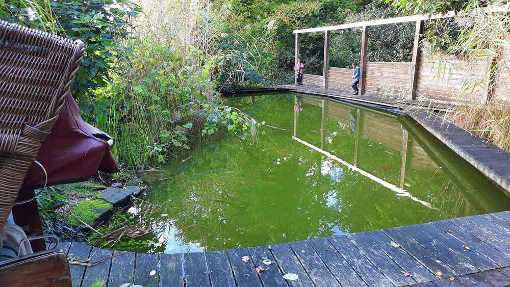 Einfamilienhaus essen Heidhausen - 7 Zimmer, 160 m&sup2;, 890.000&euro; | Angebot:25760432