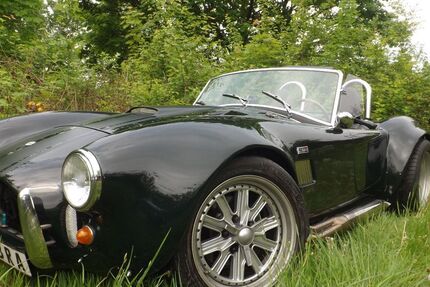 Cobra Andere 32.115 km 100.000 € Mettmann 40822