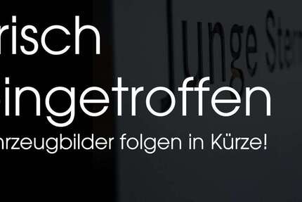 BMW i3 118.400 km 14.780 &euro; Herne 44653