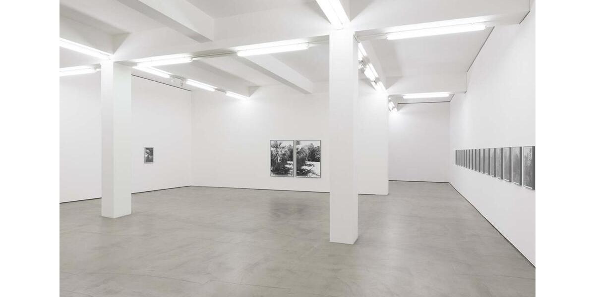 Gewerbeobjekt Düsseldorf Stadtbezirk 2 - 3.654&euro; | Angebot:24990594