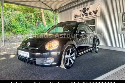 VW Beetle