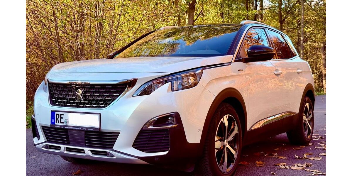 Peugeot 3008 89.000 km 18.800 &euro; Herten 45701
