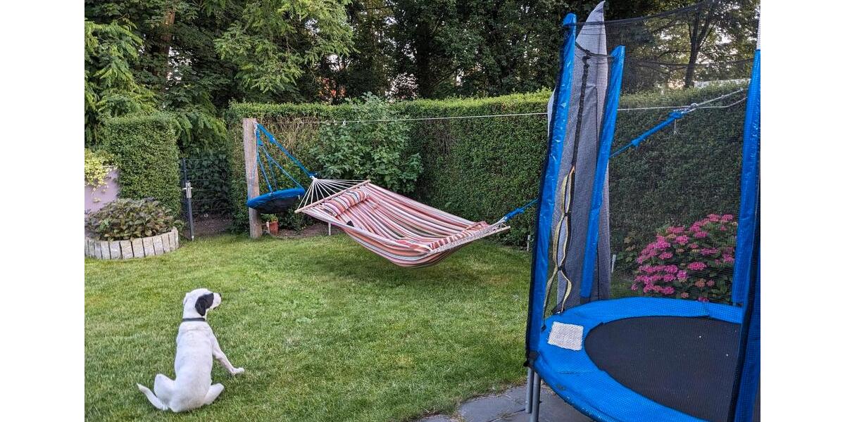 Modernes energieeffizientes Reihenendhaus mit Blick ins Grüne 5.5 zimmer