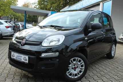 Fiat Panda 71.380 km 7.690 &euro; Bochum 44866