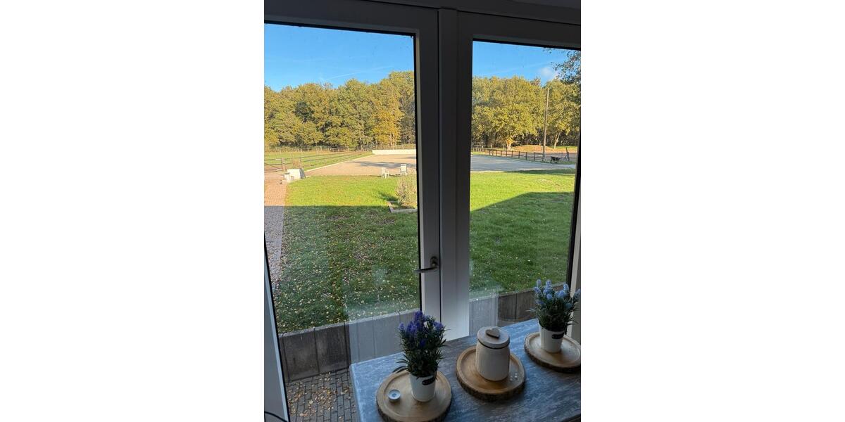 Voll ausgestattete Räumlichkeit inkl. Küche mit Aussenbereich ! zimmer